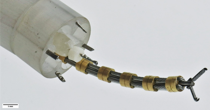Aus dem Arbeitskanal eines Endoskop wird ein robotisch angetriebenes flexibles Instrument durchgeführt.