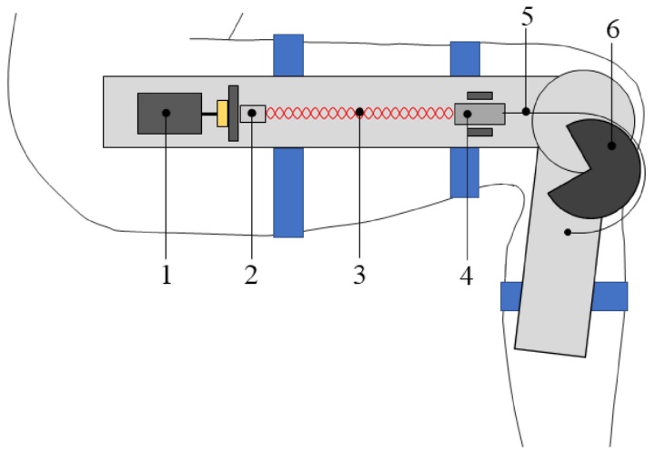 Prinzip der Knie-Orthese mit TSA Antrieb